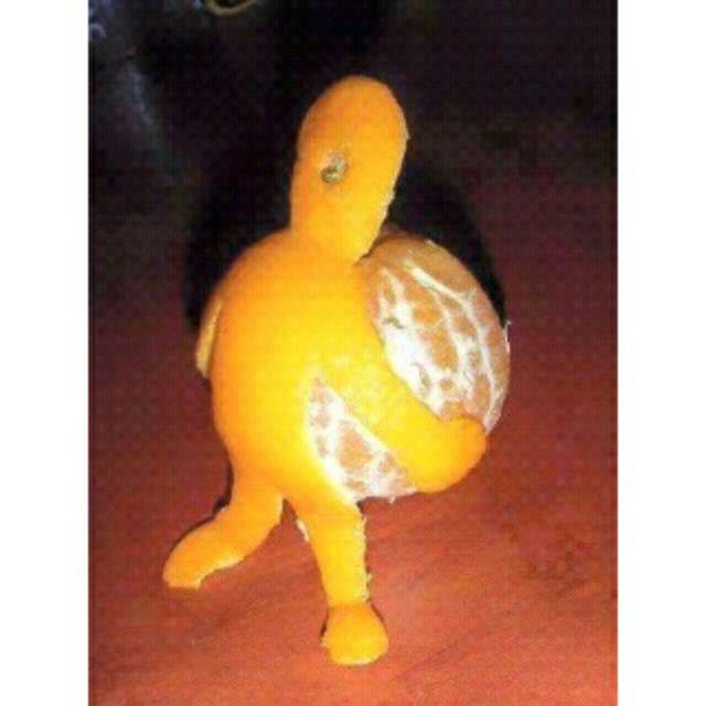 lindashalihaafzagi