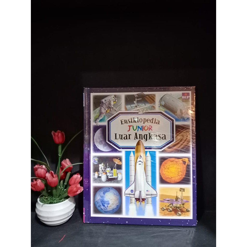 Ensiklopedia Junior