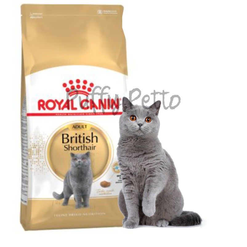 puffy petto royal canin british shorthair adult 2kg-makanan kering kucing british shorthair