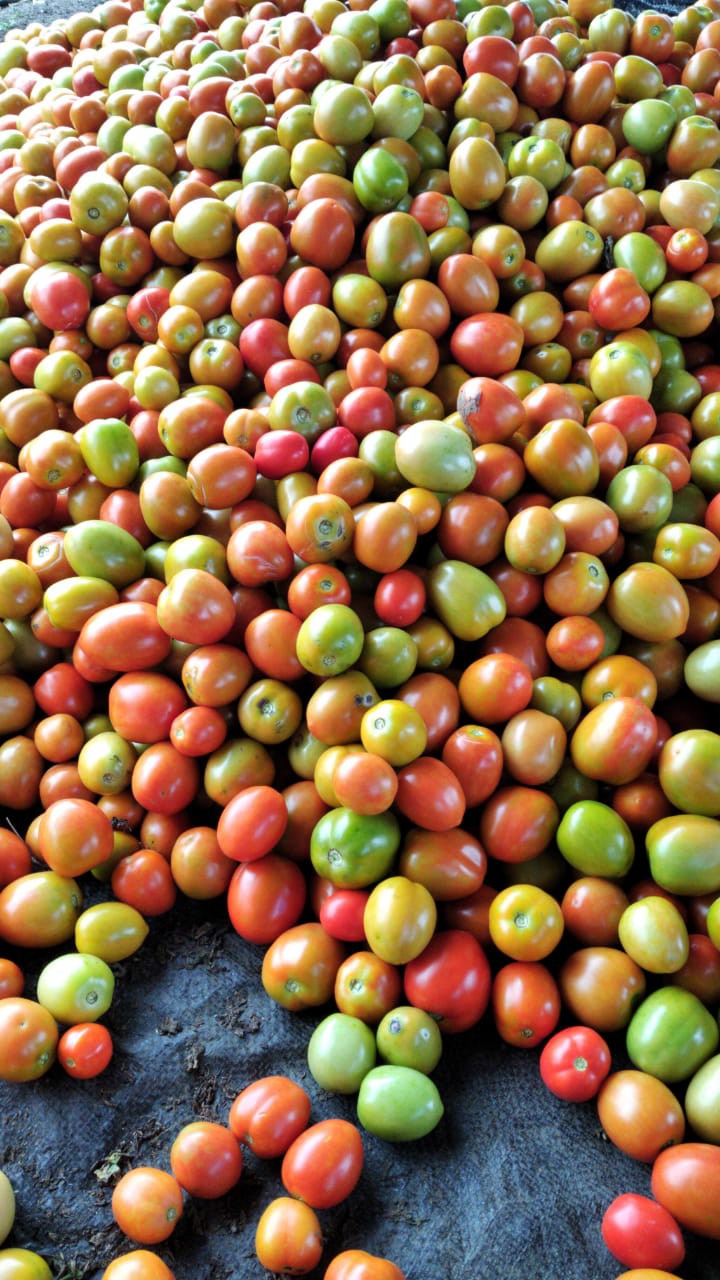 Batik Naufakencana-batik Halus-batik Kerja-batik Asli Solo-batik Modern-big Size