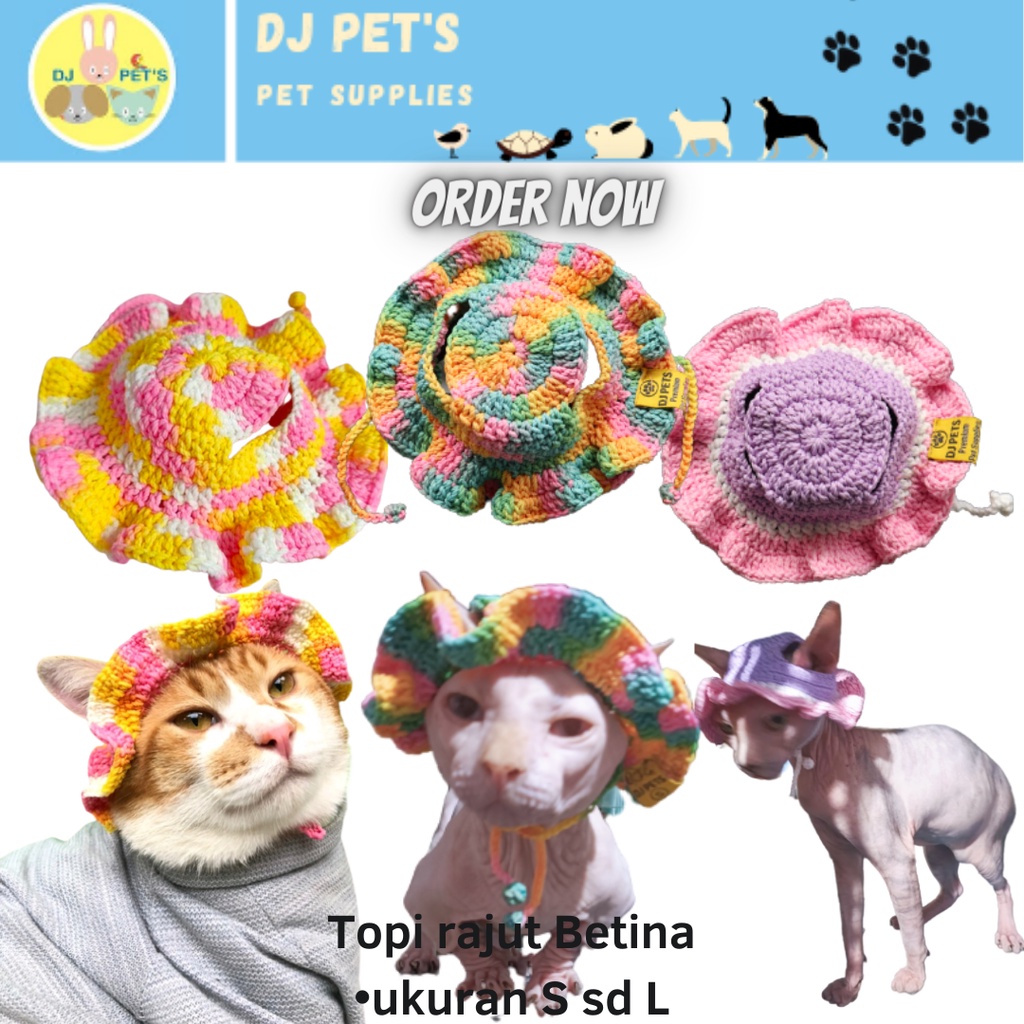 Topi anjing dan topi kucing topi hewan rajut
