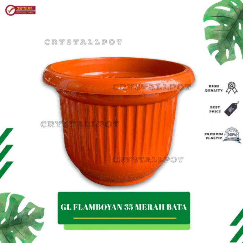 pot bunga tanaman plastik GL Flamboyan 35 kuping - FLAMBOYAN 35 MERAH BATA