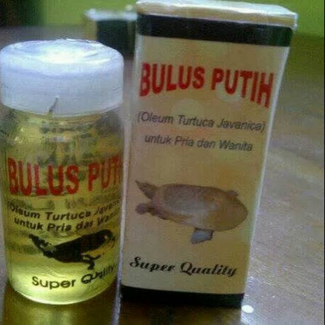 

Minyak Bulus Putih Kemasan Dus dan Segel