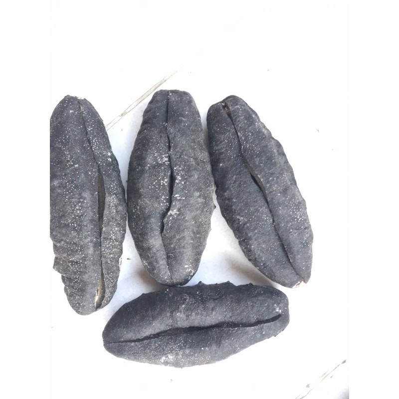 

Teripang Susu kupas/ white teath/ koro