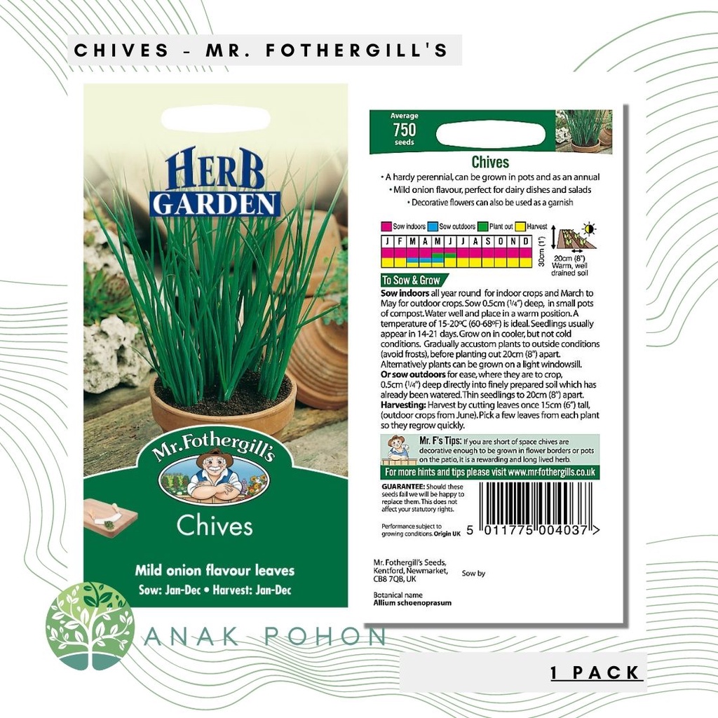 (1 PACK) Benih Chives Herb Seeds - Mr. Fothergill's - 750 Biji