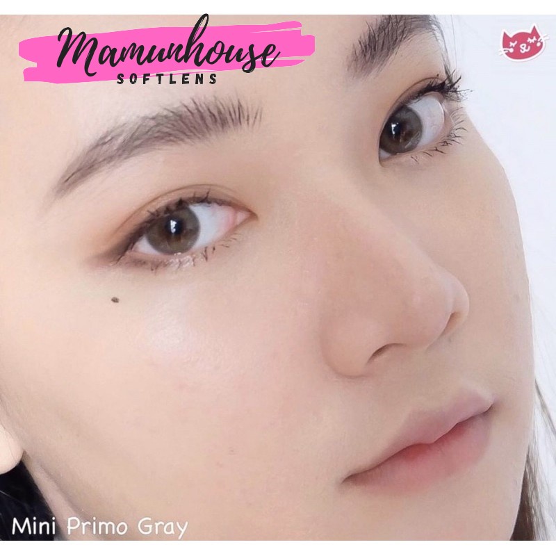 ORIGINAL Kitty Kawaii Mini Primo - Soflens Warna Gray Brown bisa Minus natural