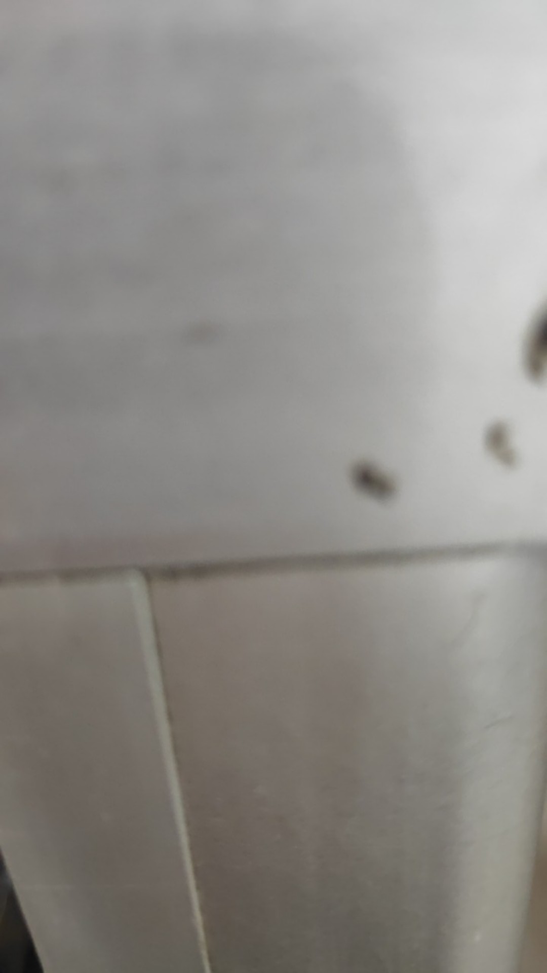 Kaligrafi Lafadz Ukir Allah & Muhammad Kaki Oval/gelombang Hiasan Meja/hiasan Rumah/dekorasi Rumah