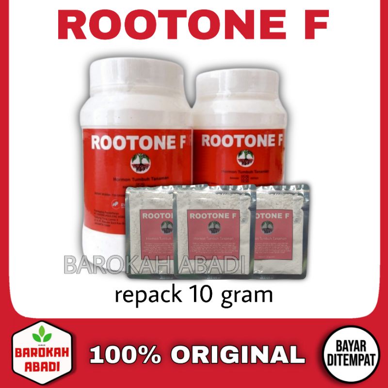 Rootone F 10 gram hormon pertumbuhan tanaman pupuk akar anggrek