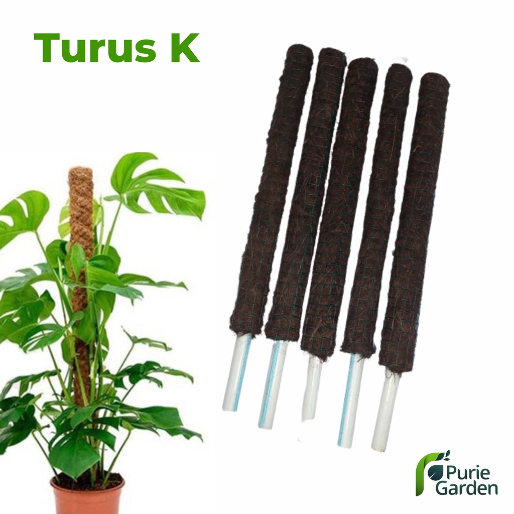 Turus Ijuk Penyangga Tiang Tanaman Rambat 48cm – K PG KDR