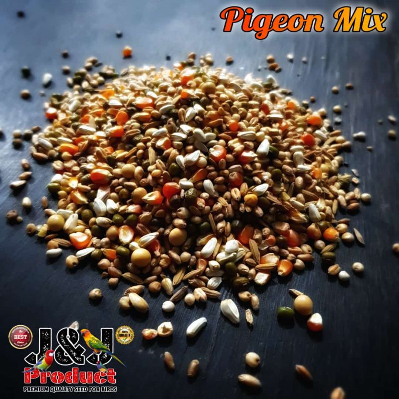 Premium Seed Pigeon Mix 10kg Merpati Burung Dara Merpati Pos