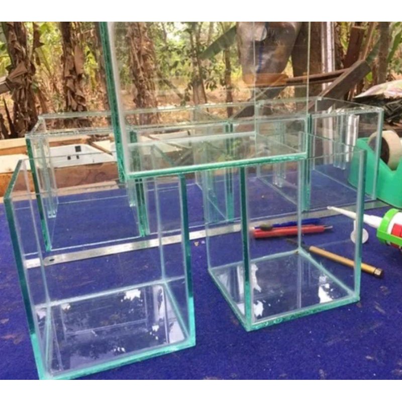Soliter Ikan Cupang 15x15x20 Soliter Selfie Soliter Jantur Aquarium Mini Ikan Gupy Ikan Cupang Hias