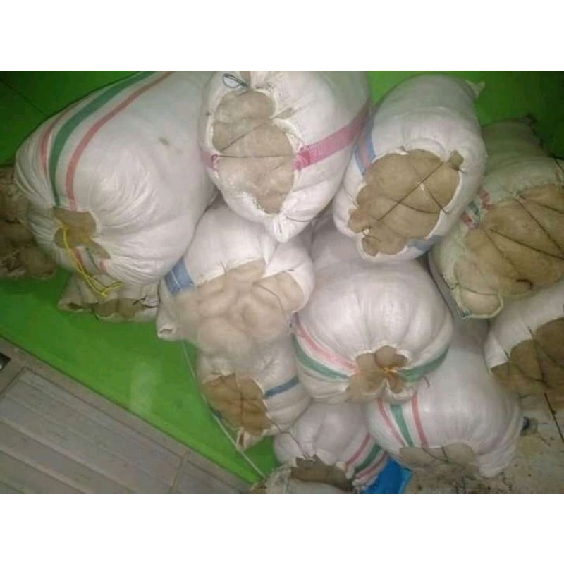 jaring nelayan senar 1kg