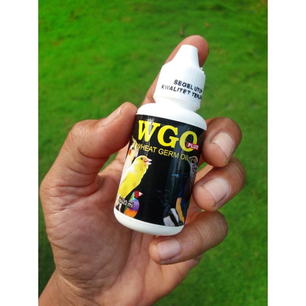 VITAMIN BURUNG TERNAK VITAMIN PENAMBAH BIRAHI LOVEBIRD WGO ASLI VITAMIN BREEDING WHEAT GERM OIL