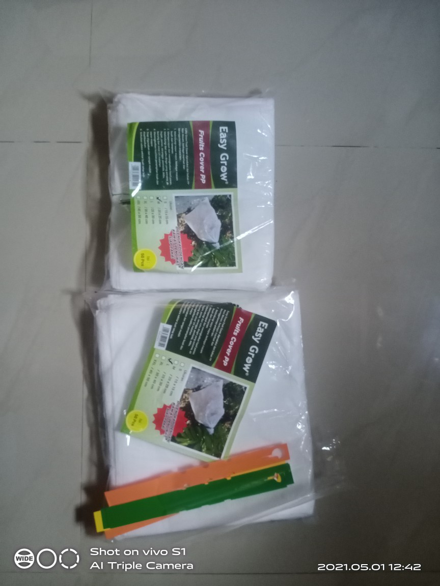 Kantong Pembungkus Buah Fruit Cover Size M 20 X 25 Cm