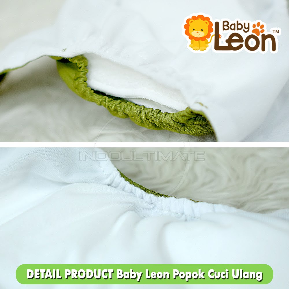 Clodi popok cuci ulang PRINT+ INSERT BABY LEON cloth diapers diaper popok bayi kain