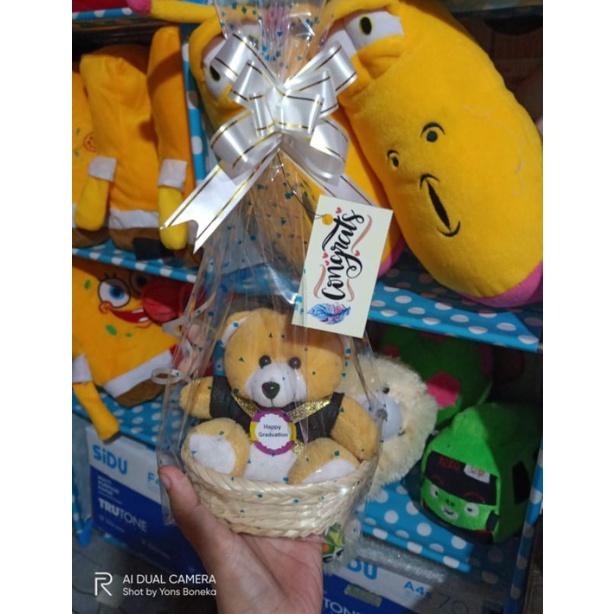 boneka wisuda keranjang mini GIFT WISUDA PARCEL