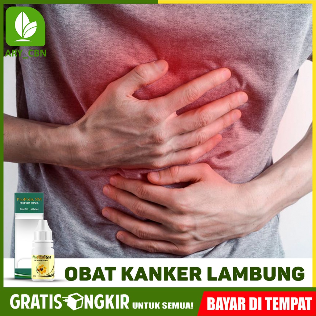 

Obat Kanker Lambung, Infeksi Lambung, Maag Kronis, Radang Propolis SM Brazil Di CIREBON Bisa COD