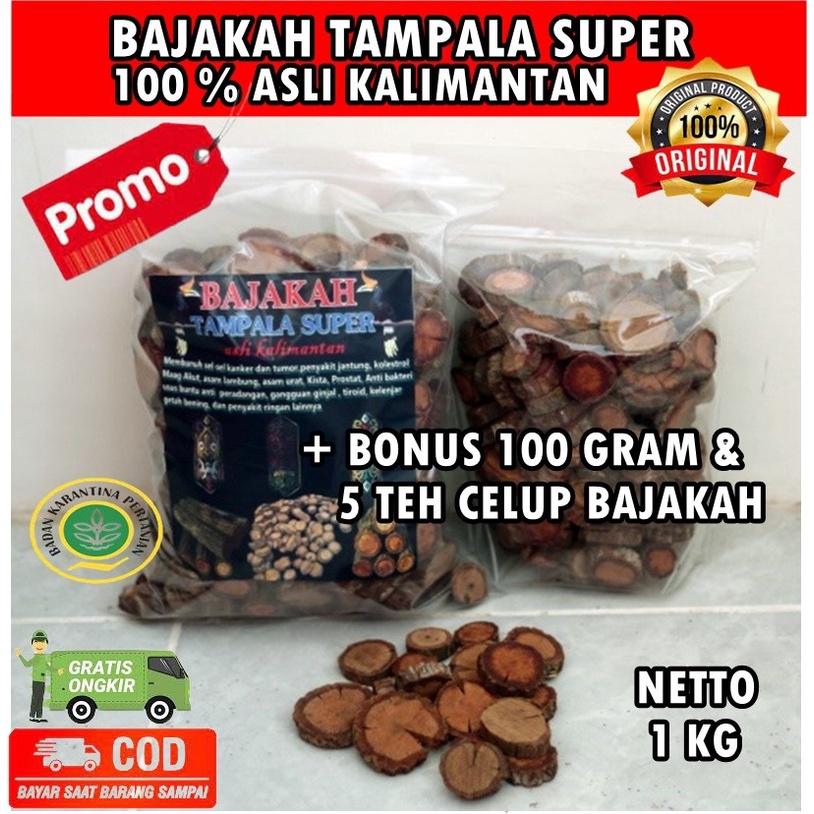 

AKAR BAJAKAH/BAJAKAH TAMPALA SUPER ASLI KALIMANTAN