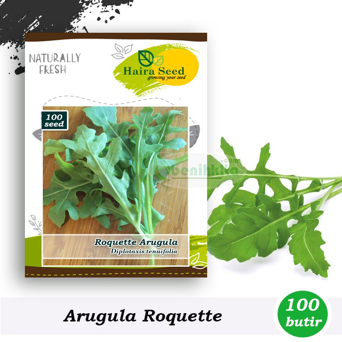 Benih-Bibit Arugula Roquette (Haira Seed)