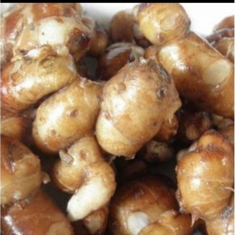 

PROMO KENCUR KUALITAS SUPER 1 KG