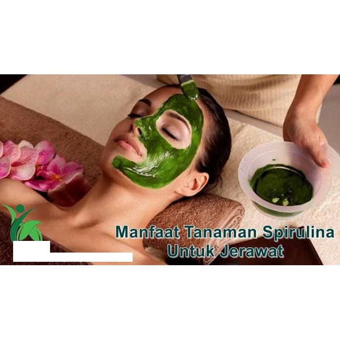 Masker Spirulina Serbuk Wajah anti jerawat Komedo Bubuk Kapsul