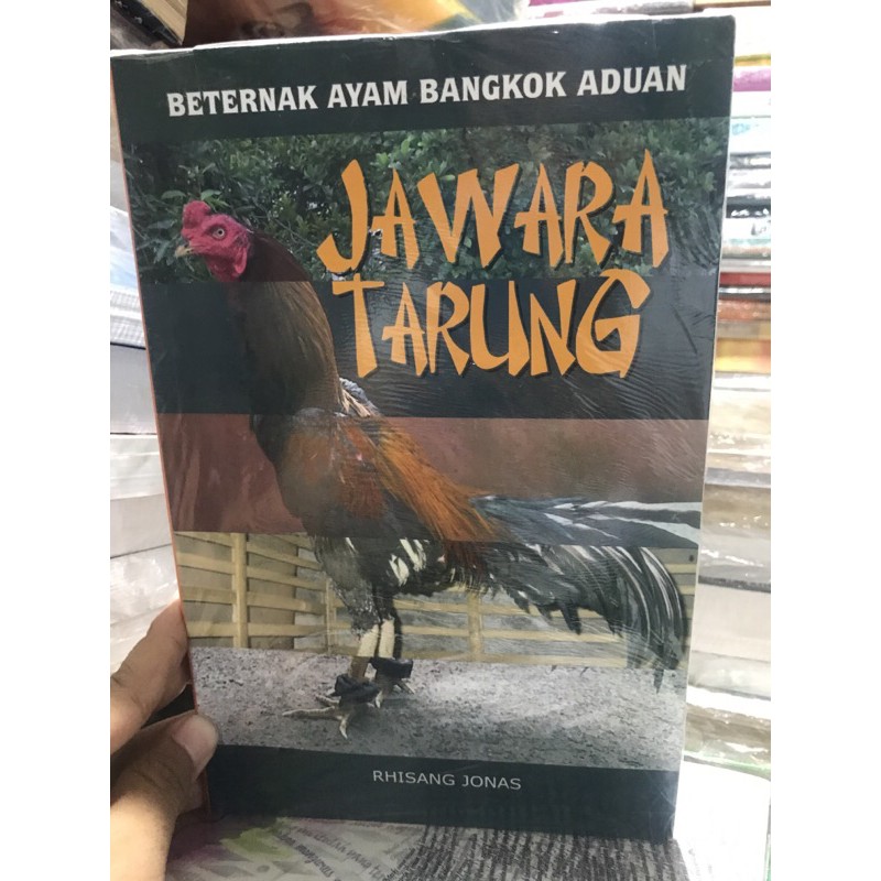 

BETERNAK AYAM BANGKOK ADUAN (JAWARA TARUNG)