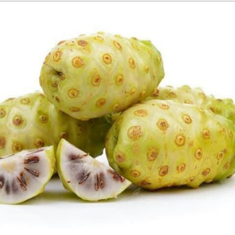 

Buah Mengkudu Segar/Buah Noni/Buah Pace/Obat Herbal Alami 1kg