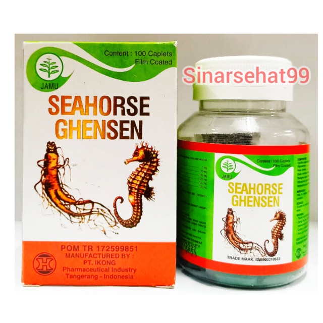Seahorse ghensen / seahorse ghenshen kidney obat sehat ginjal