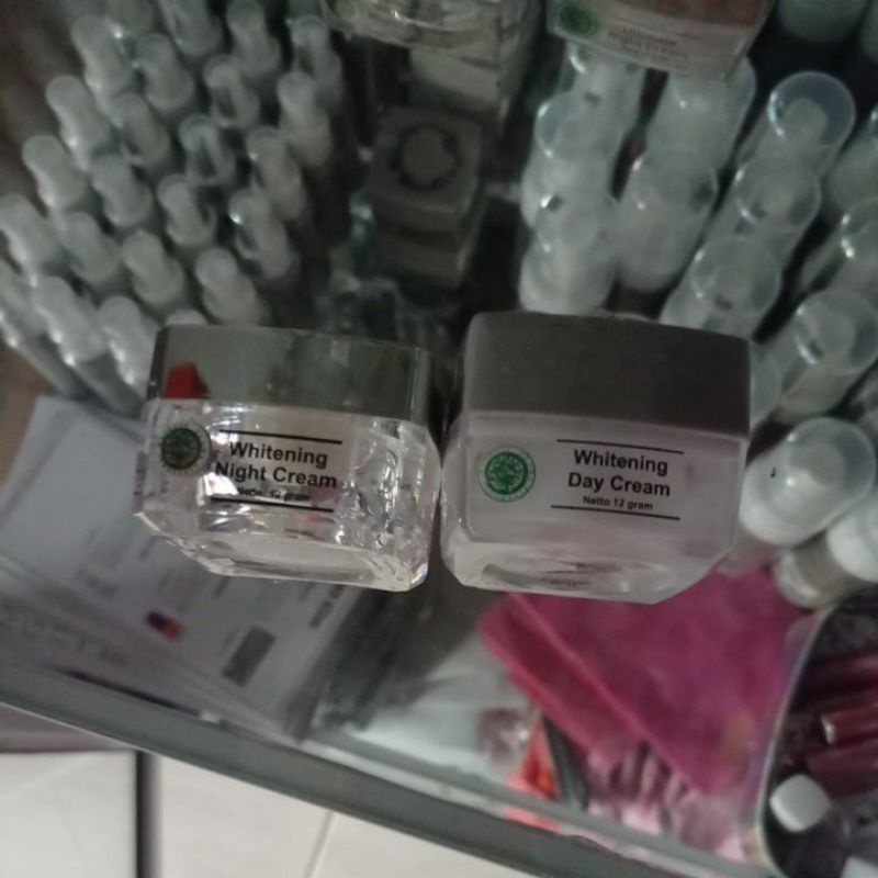 MSGLOW krim pagi malam