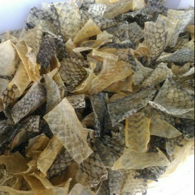 

Kerupuk Kulit Ikan Mentah Potong-Potong 1 Kg