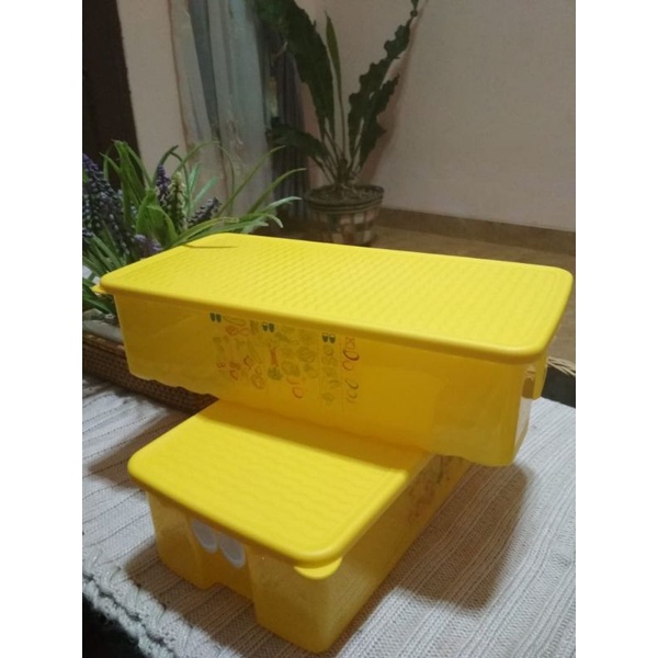 Fridgesmart Set Tupperware