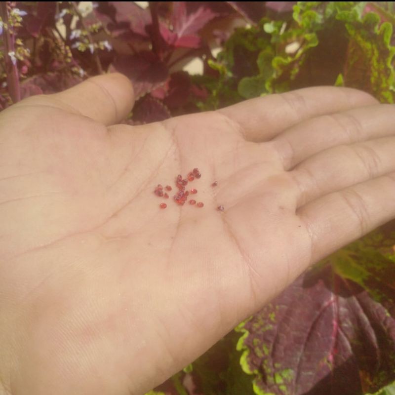 20pcs batu cutting berlian merah susu K