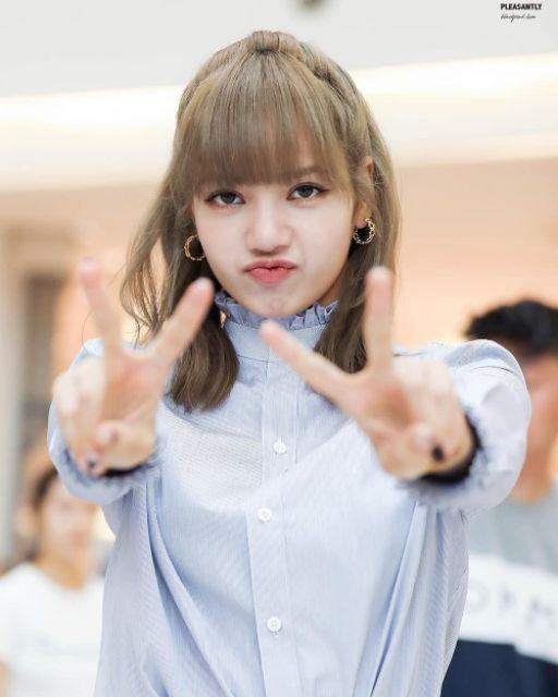 Promo Murah Set 5in1 Rak Gantung Motif Bunga Non Resleting Kualitas