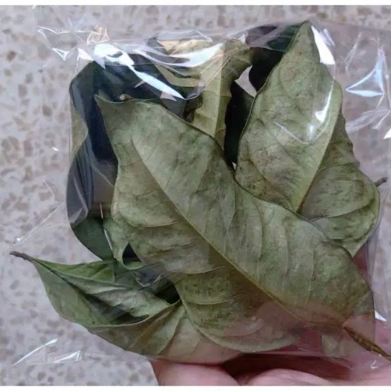 

Dried bay leaves / daun salam kering bersih 1/2kg dan 1kg