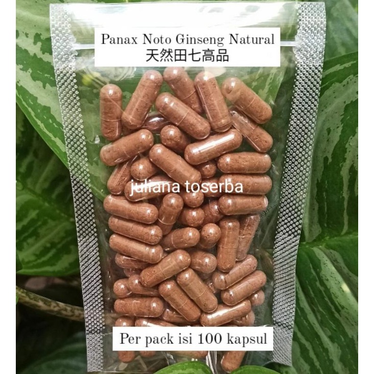 

Active Panax Noto Ginseng Natural 田七 Raw Murni 120 kapsul