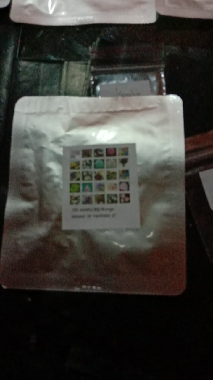 (36 Seeds) Biji Benih Bunga Mawar 36 Varieties Of Roses Mixed