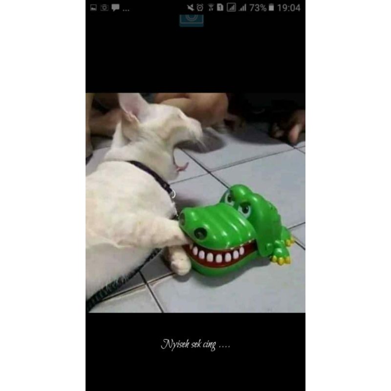 Mainan Crocodile Dentist/ Mainan Gigi Buaya/ Mainan Buaya Gigit Murah