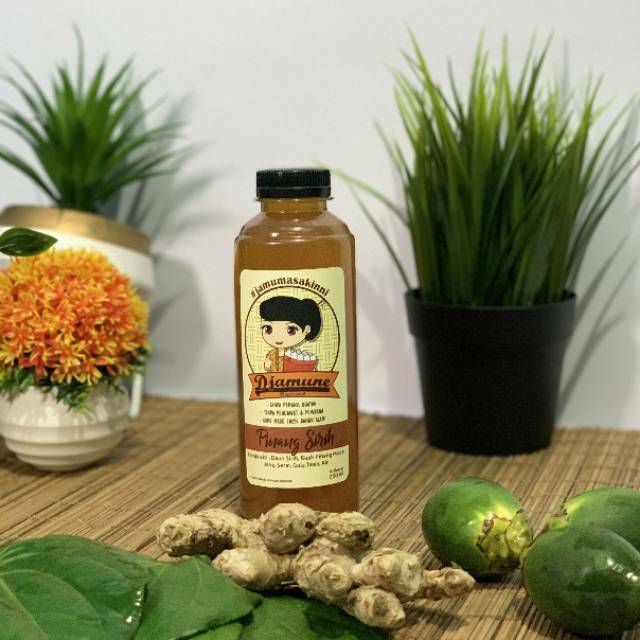 

DJAMUNE - Jamu Tradisional Pinang Sirih 100% Fresh - 250 ml