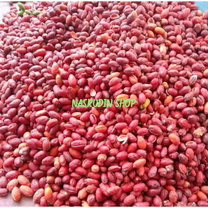 

KULIT MELINJO SEGAR TERMURAH | MELINJO MATANG | MELINJO MERAH