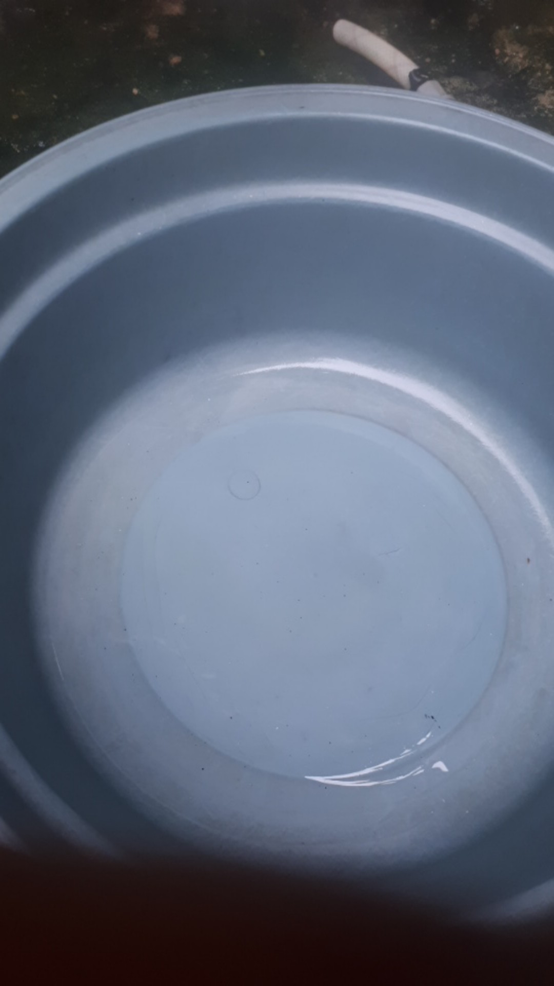 Bswart Batik Hrb026 Kenongo Hem Pendek Padi Pekalongan M L Xl Batik Pria Murah Modern Grosir