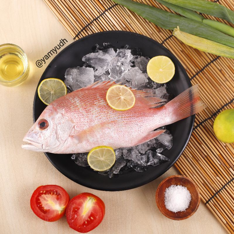 Ikan Kakap merah 1kg