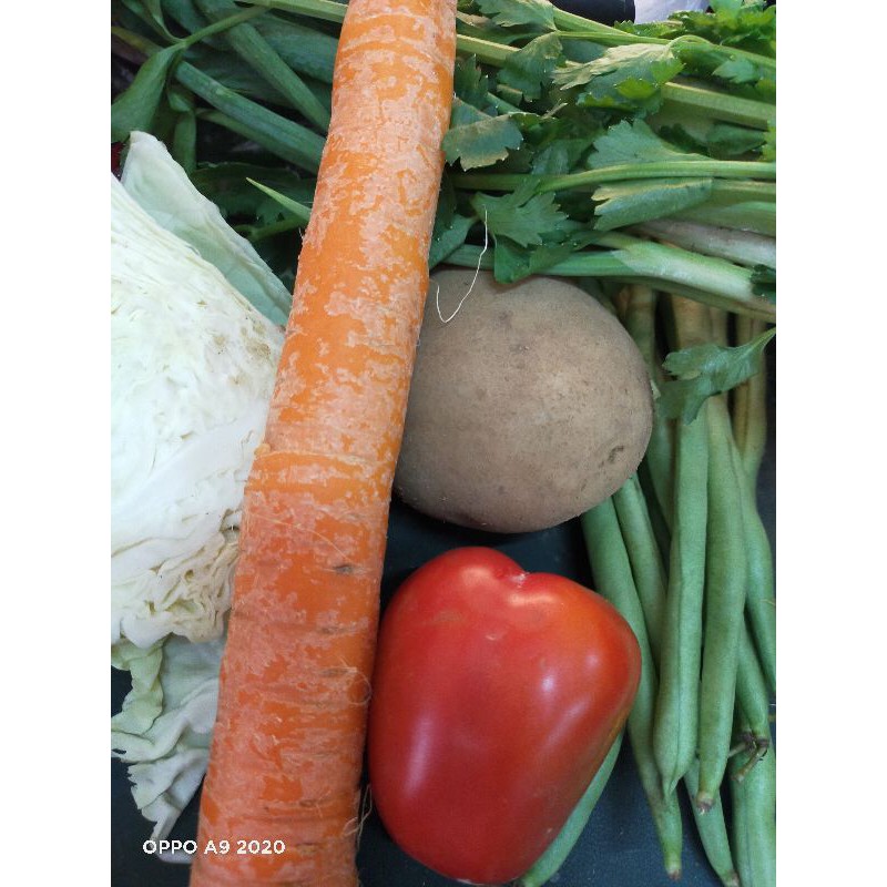 

Paket Sayur Sop Komplit