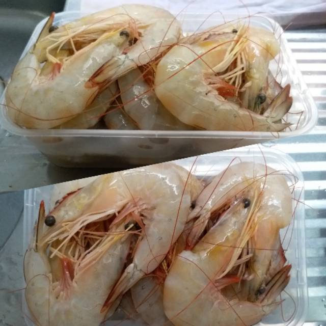 Udang Laut Putih Segar Per Box 500gram Isi 8 14 Ekor Shopee Indonesia