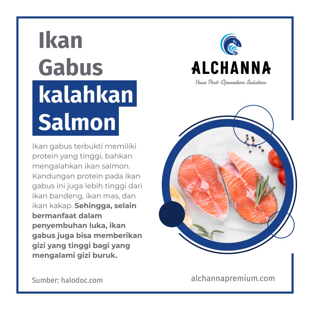 ALCHANNA PREMIUM Ekstrak Ikan Gabus Albumin Kutuk Premium Keringkan Luka Bakar Diabetes Luka Pasca Operasi - Naturafit BPOM