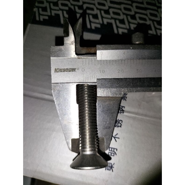 verseng L M10 x 60 (6cm) stainless 304 THE A2-70