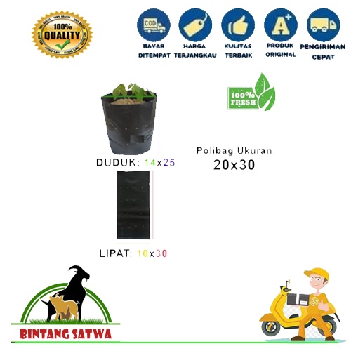 polibag ukuran 20 x 30 eceran murah