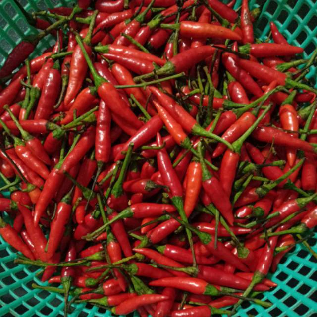 

CABE RAWIT HARGA PER 500 GRAM