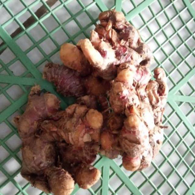 Jahe merah segar 1kg
