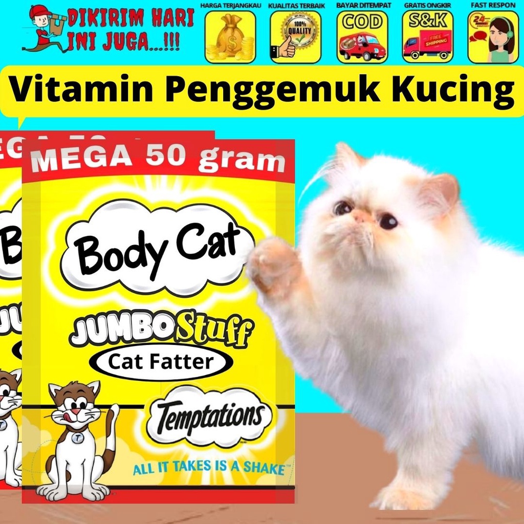 BodyCat 50g Vitamin Penggemuk Kucing Sachet Bubuk Nutrisi Powder BodyCat FEFARM