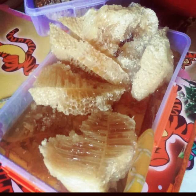 

Sarang madu asli